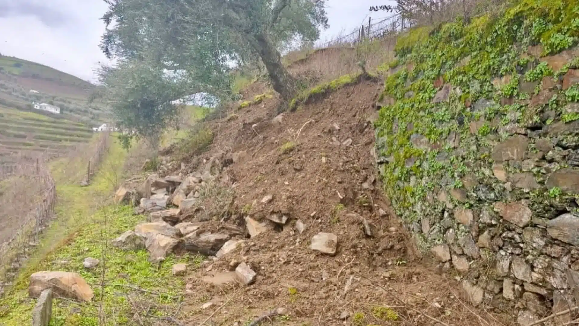 Murs tombés, vignes arrachées et œnotourisme affecté dans le Douro