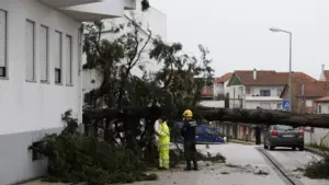 Núcleo Empresarial de Portalegre commence avec le recensement des préjudices