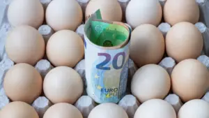 Œufs de poules élevées en plein air plus chers : vaut-il la peine de les acheter ?