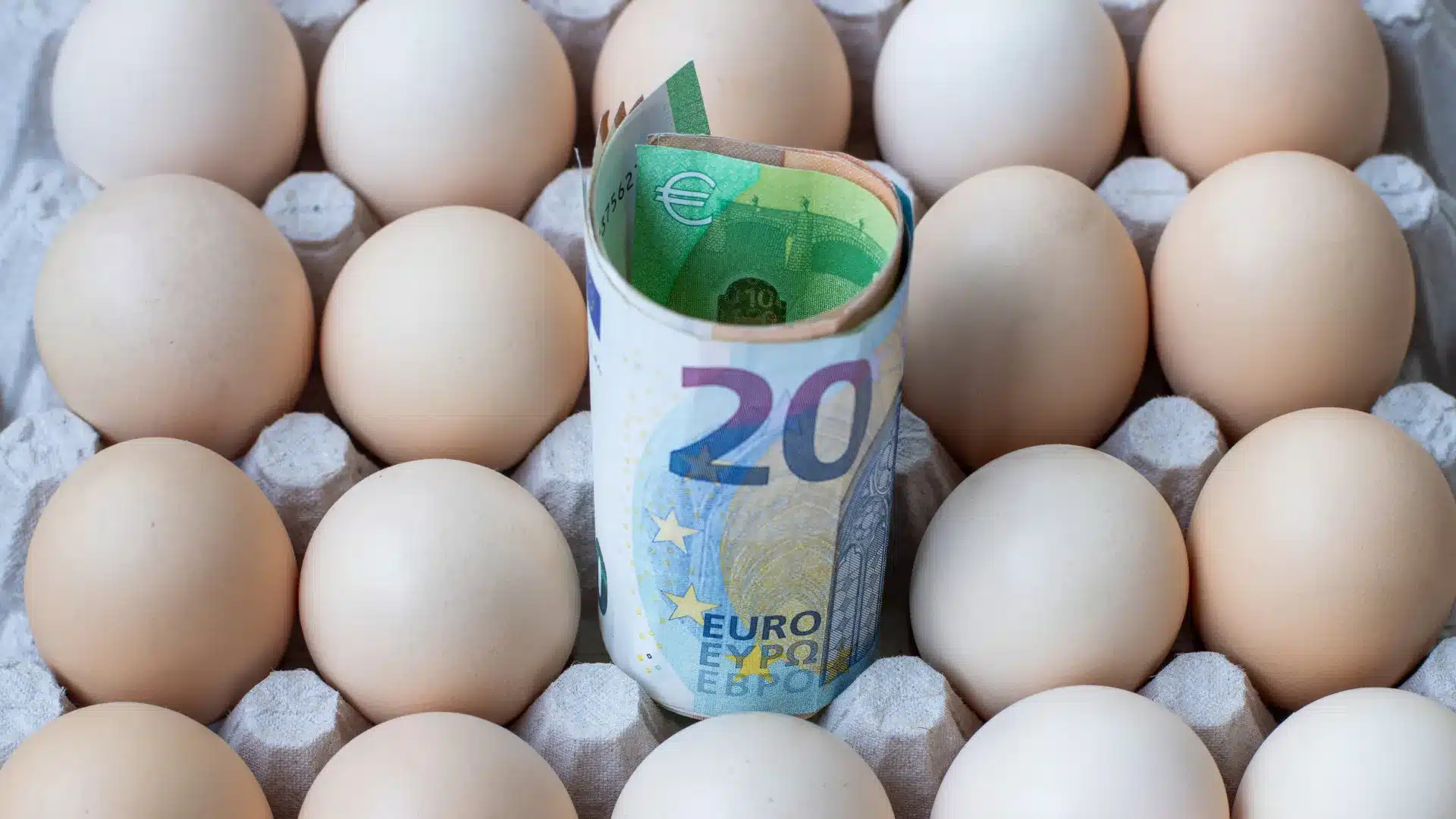 Œufs de poules élevées en plein air plus chers : vaut-il la peine de les acheter ?