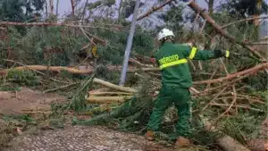 Plus de 2 500 militaires sur le terrain pour soutenir les populations dans 41 municipalités.