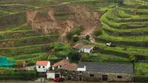 Plus de 300 millions d'euros de pertes signalées dans l'agriculture