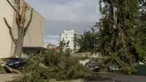 Pombal comptabilise 14,5 millions en préjudices dans les équipements municipaux.