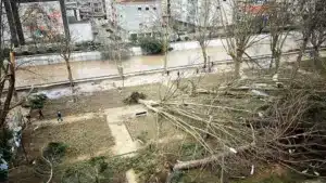 Près de 20 000 personnes sont toujours sans électricité dans la région de Leiria.