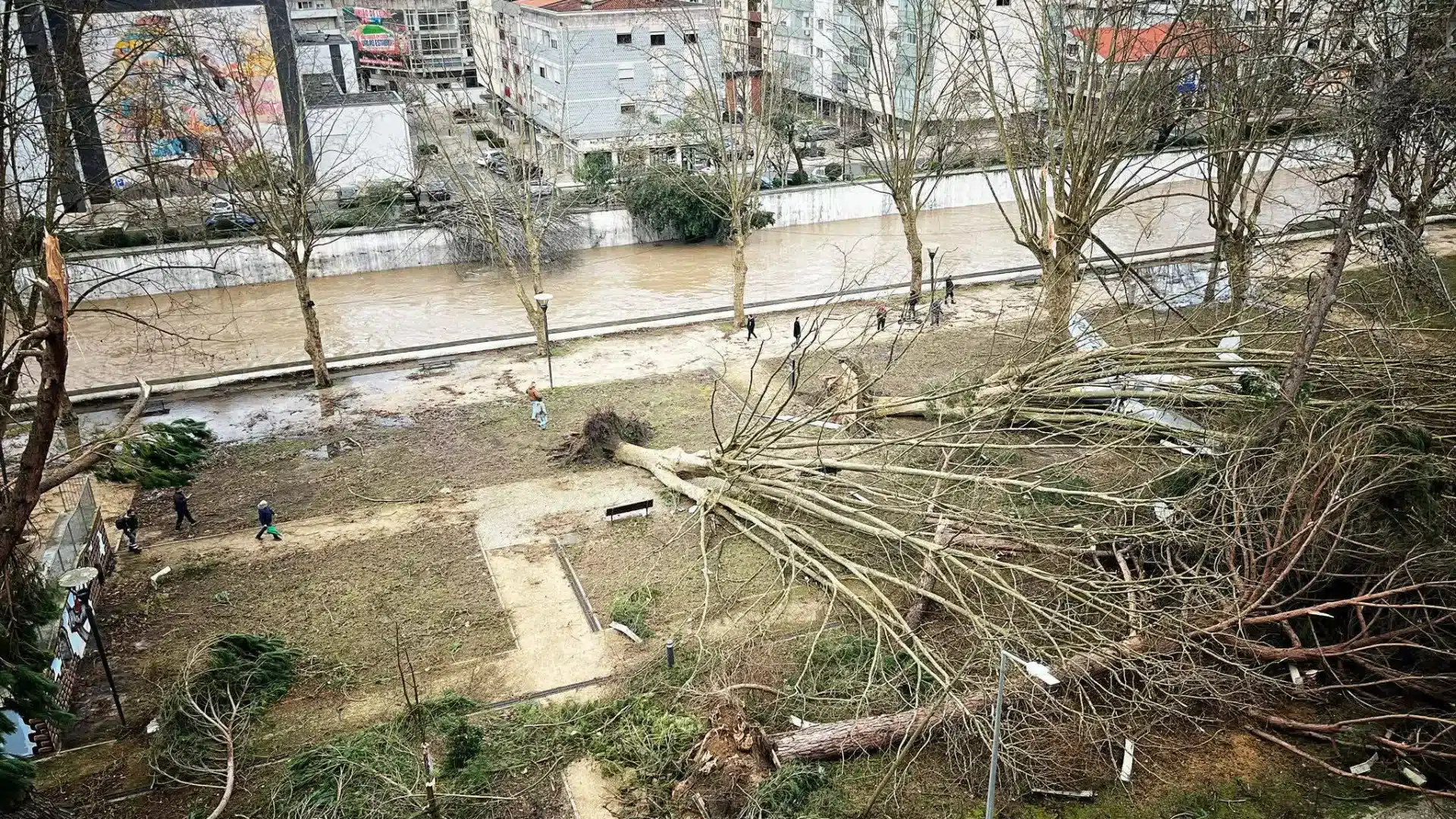 Près de 20 000 personnes sont toujours sans électricité dans la région de Leiria.