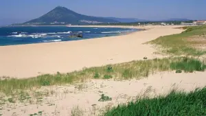Projet de récupération de la plage de Moledo conclu cette année