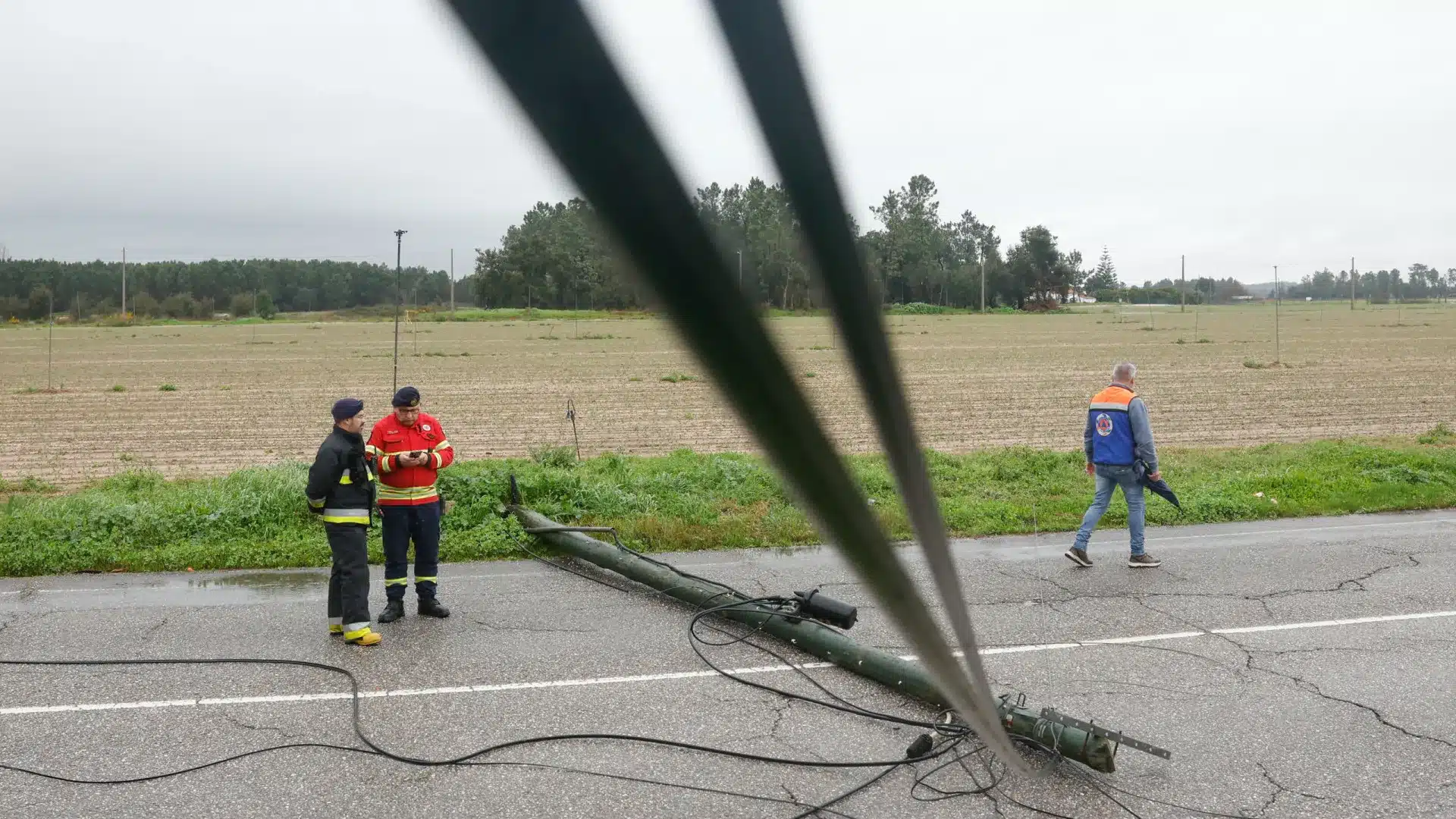 REN a déjà retiré 80% des câbles et 20% des infrastructures endommagées.