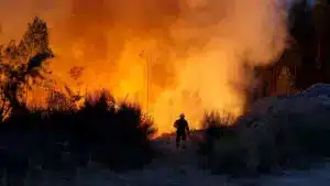 Reportage sur les incendies au Portugal finaliste du Prix Roi d'Espagne