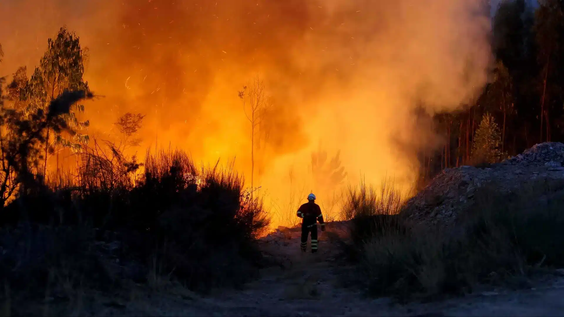 Reportage sur les incendies au Portugal finaliste du Prix Roi d'Espagne