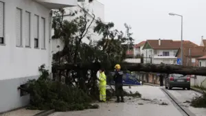 Soutien de 10 000 euros pour la reconstruction de maisons avec 34 000 candidatures.