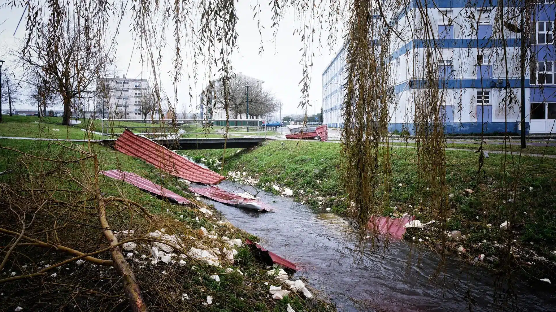 Structure de Mission dit que "le périmètre des dégâts ne s'arrête pas" à Leiria.