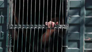 Suspect arrêté pour avoir tenté de tuer des rivaux avec une bouteille cassée à Porto.