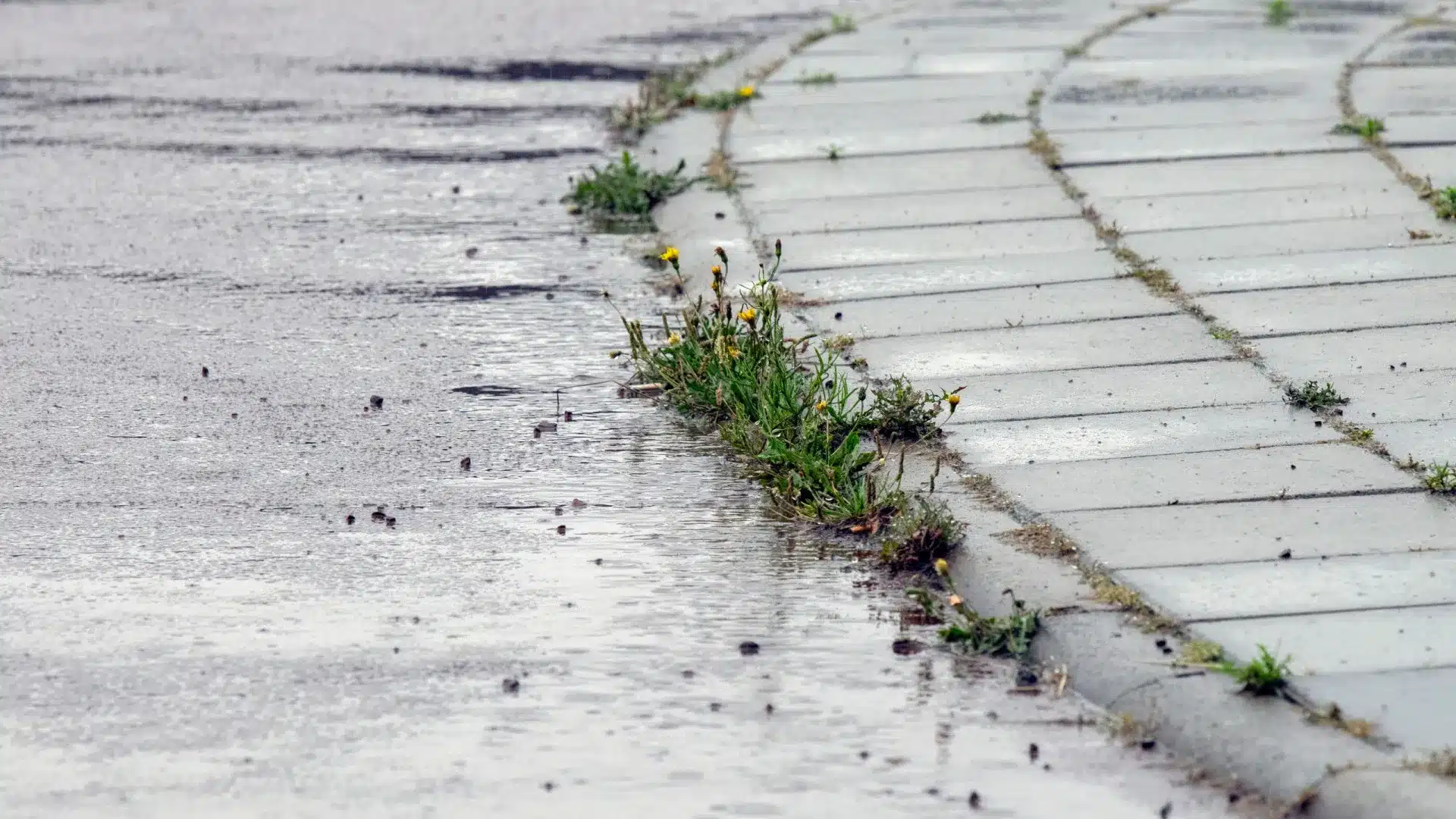 Toutes les écoles de la municipalité de Coimbra fermées vendredi.