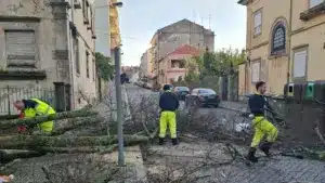 Un chiffre préliminaire indique des pertes de 22 millions à Castelo Branco.