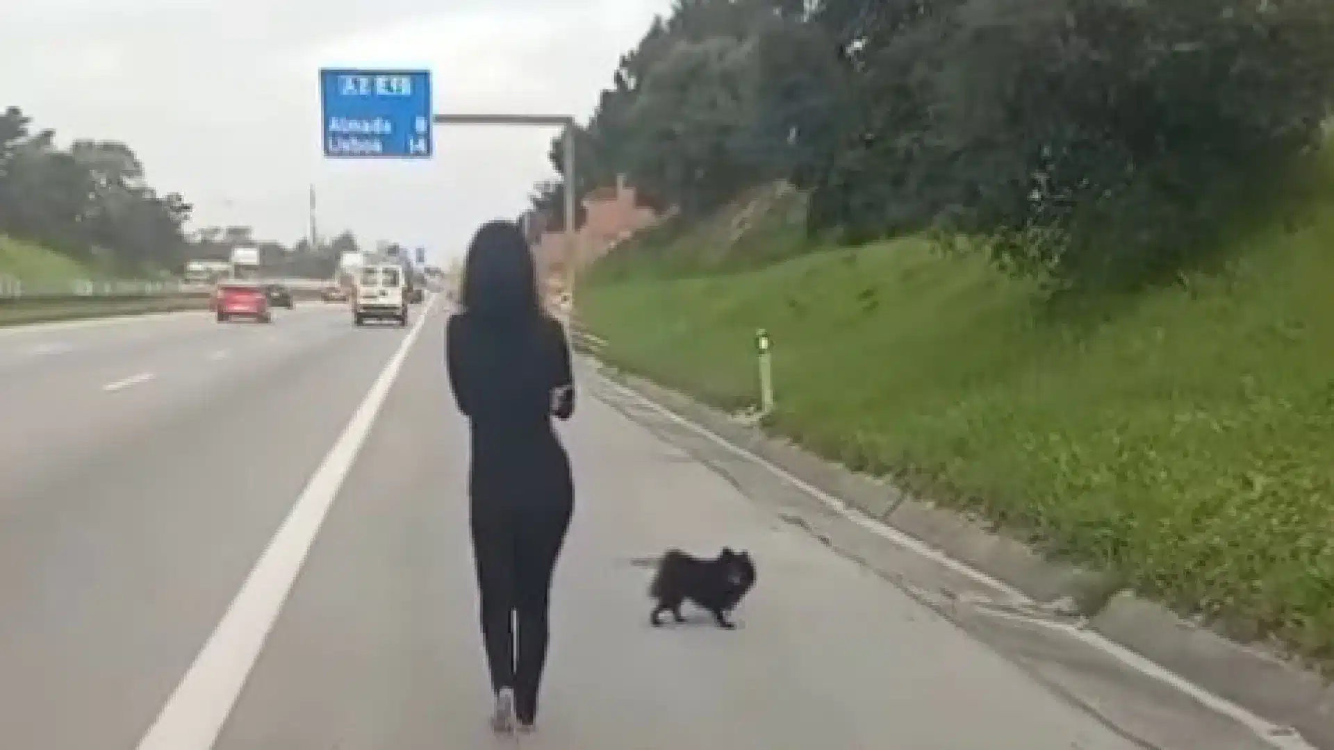 Une femme parcourt plusieurs kilomètres à pied sur l'A2 avec les chiens.