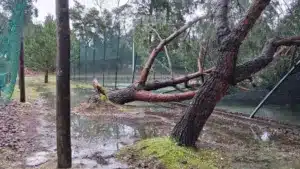 Vendeur de meubles d'Alvaiázere essaie de se débarrasser de l'eau après la tempête