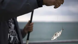 Vila do Conde attribue un soutien de 500 000 euros à plus de 2 000 pêcheurs.