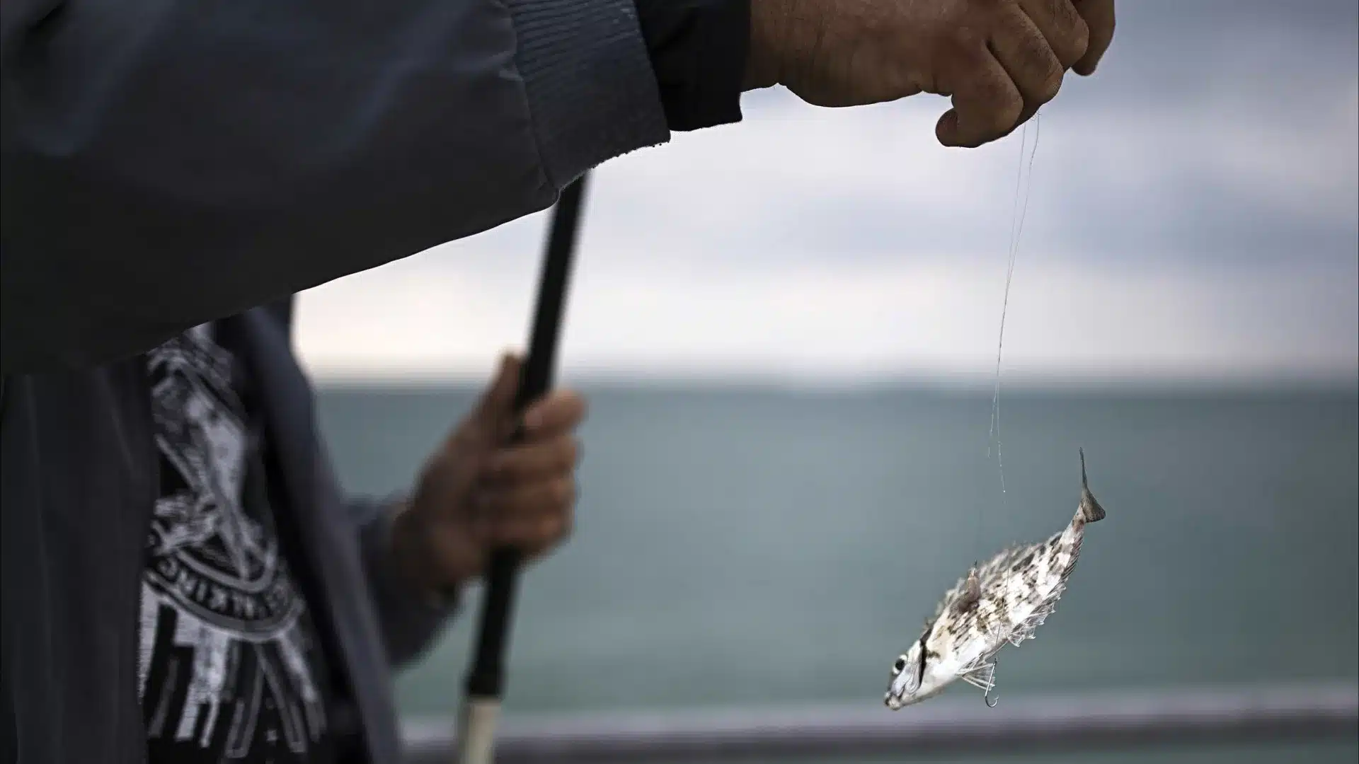 Vila do Conde attribue un soutien de 500 000 euros à plus de 2 000 pêcheurs.