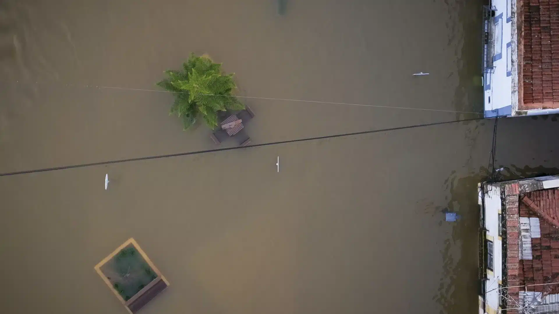 Abandon dans la vallée du Tage oblige les agriculteurs à maintenir le territoire par des subterfuges.