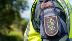 Arrestation du présumé auteur de l'incendie forestier à Tarouca