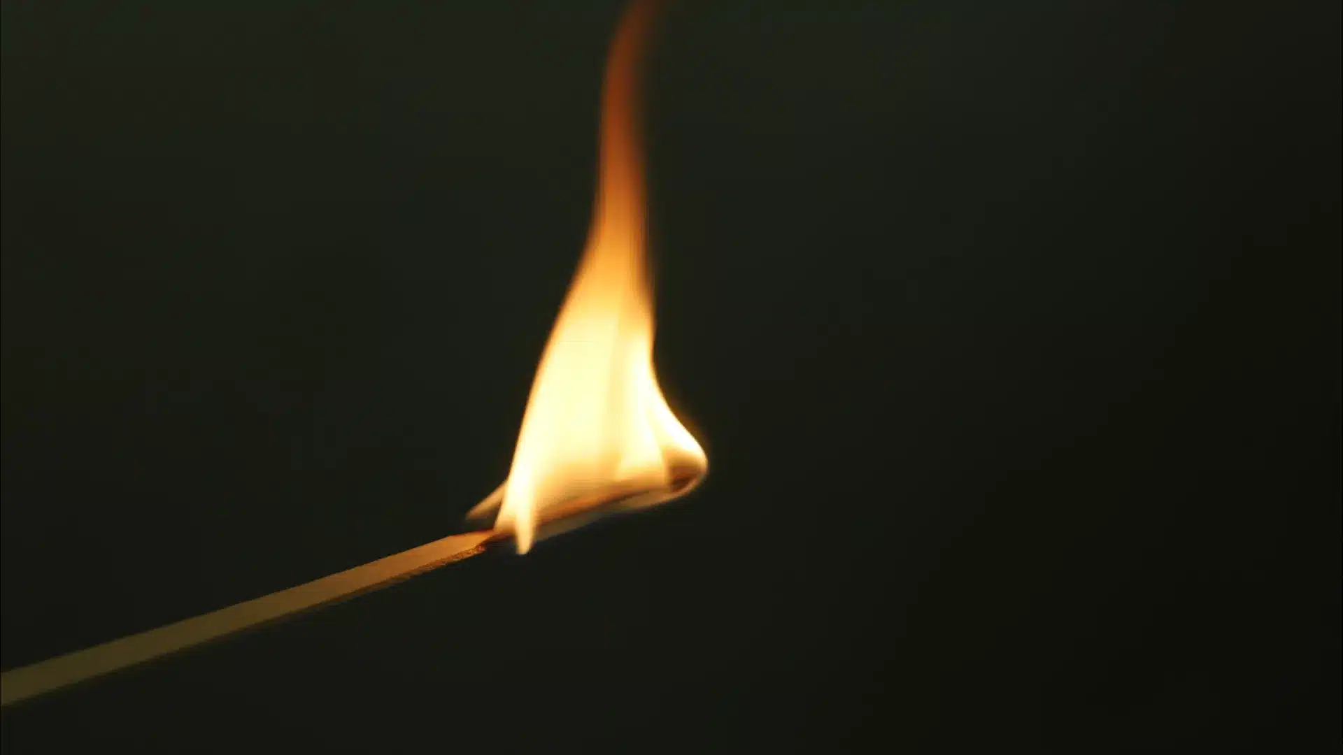 Arrêté à Cabeceiras de Basto pour un feu d'origine provenant d'un brûlage.