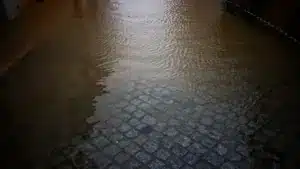 Aveiro comptabilise deux millions d'euros de pertes en raison du mauvais temps.