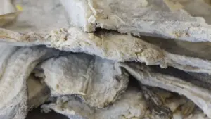 Bacalhau ? "Nous exportons de Norvège vers le Portugal 35 000 tonnes"