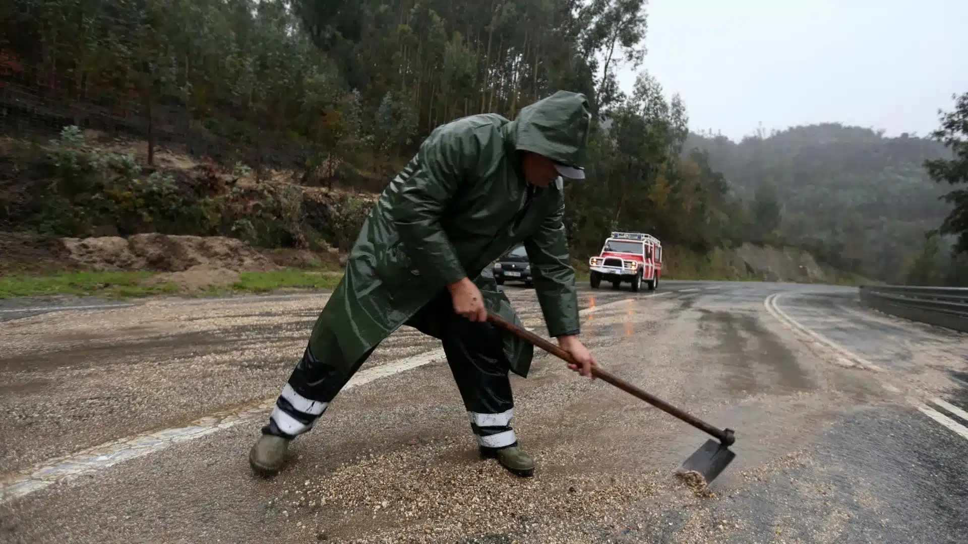 Bruxelles approuve des aides d'État de 250 millions pour le secteur forestier ici.