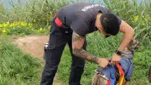 Chien sauvé après être resté coincé sur la falaise de Lourinhã