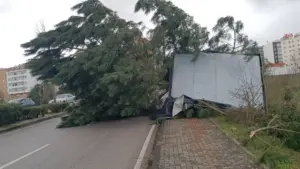 Chômage partiel à Leiria : La moitié des demandes des entreprises a été approuvée.