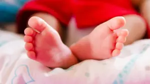 Cinfães donne 3.000 euros pour chaque bébé né dans la commune.