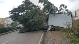 Circulation coupée entre Pedrógão Pequeno et le barrage de Cabril depuis 2 mois.