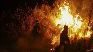 Commission pour évaluer les incendies termine la sélection des membres (6 mois plus tard)