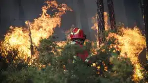 Dispositif de lutte contre les incendies pour cette année présenté aujourd'hui