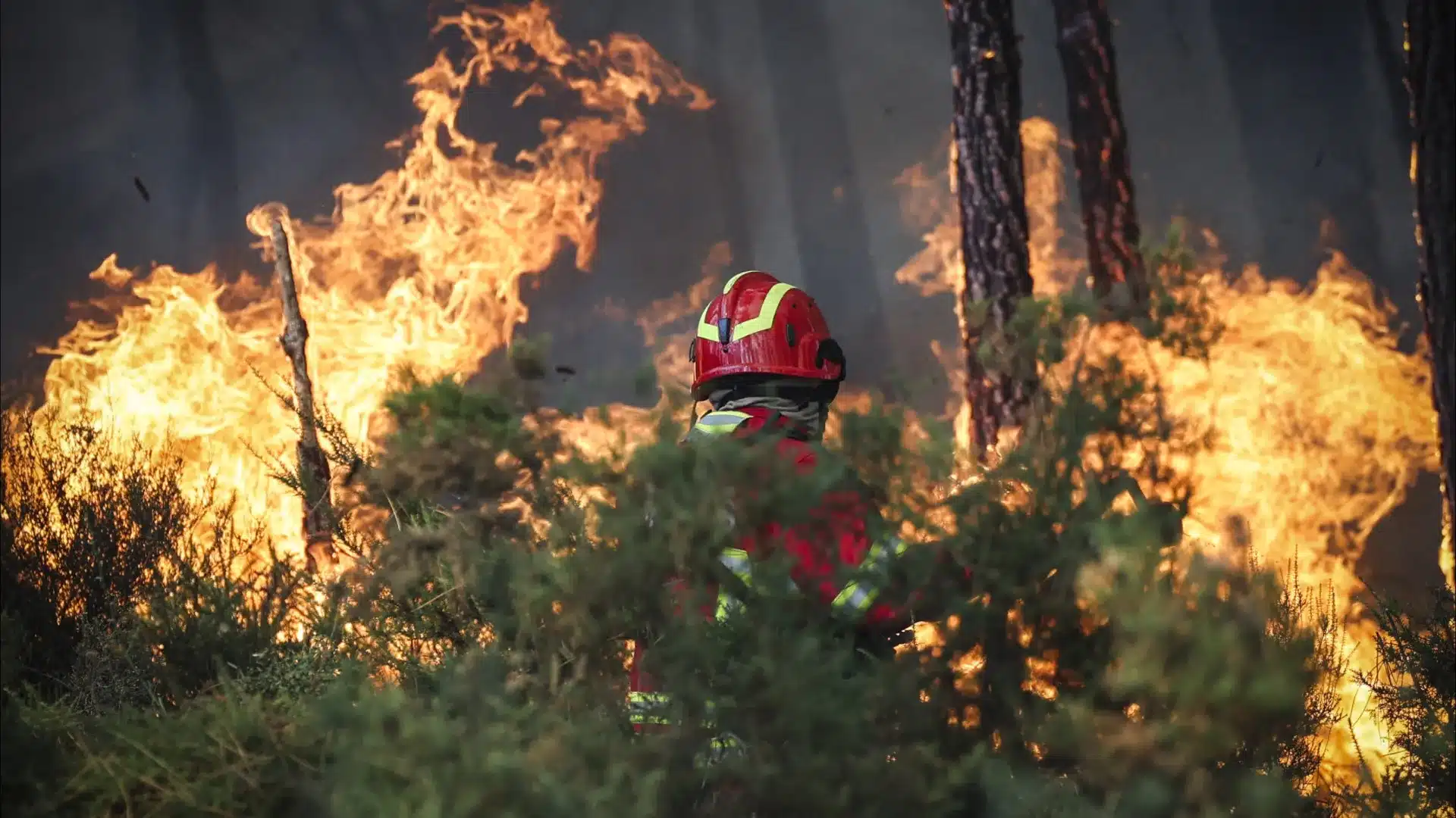 Dispositif de lutte contre les incendies pour cette année présenté aujourd'hui