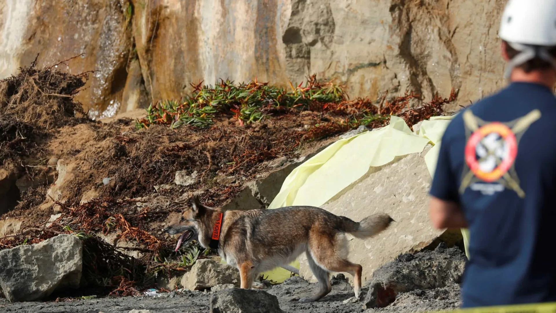 Éboulement entraîne tronçon de la EN232 et des centaines d'arbres à Manteigas