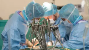 En 2025, le Médio Tejo a augmenté le nombre d'organes prélevés pour la transplantation.