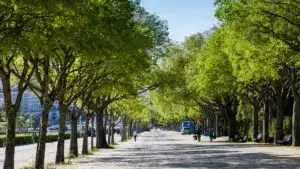 Enfin, le printemps ! La semaine aura des températures atteignant les 24ºC.