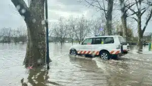 Entreprise inaugurée quelques semaines avant les tempêtes subit une perte de 600 000 €.