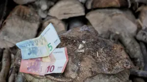 Feu contrôlé : Le gouvernement paie jusqu'à 365 € par hectare et cela fonctionne ainsi