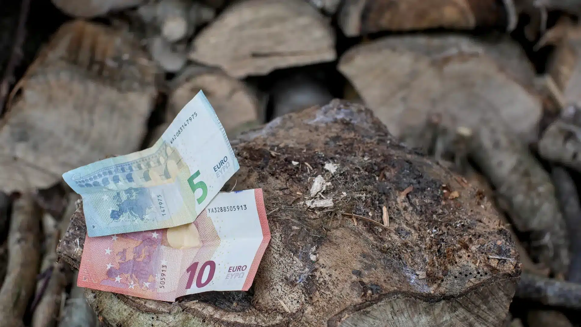 Feu contrôlé : Le gouvernement paie jusqu'à 365 € par hectare et cela fonctionne ainsi