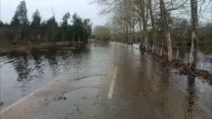 Góis défend une intervention rapide sur une route nationale coupée.