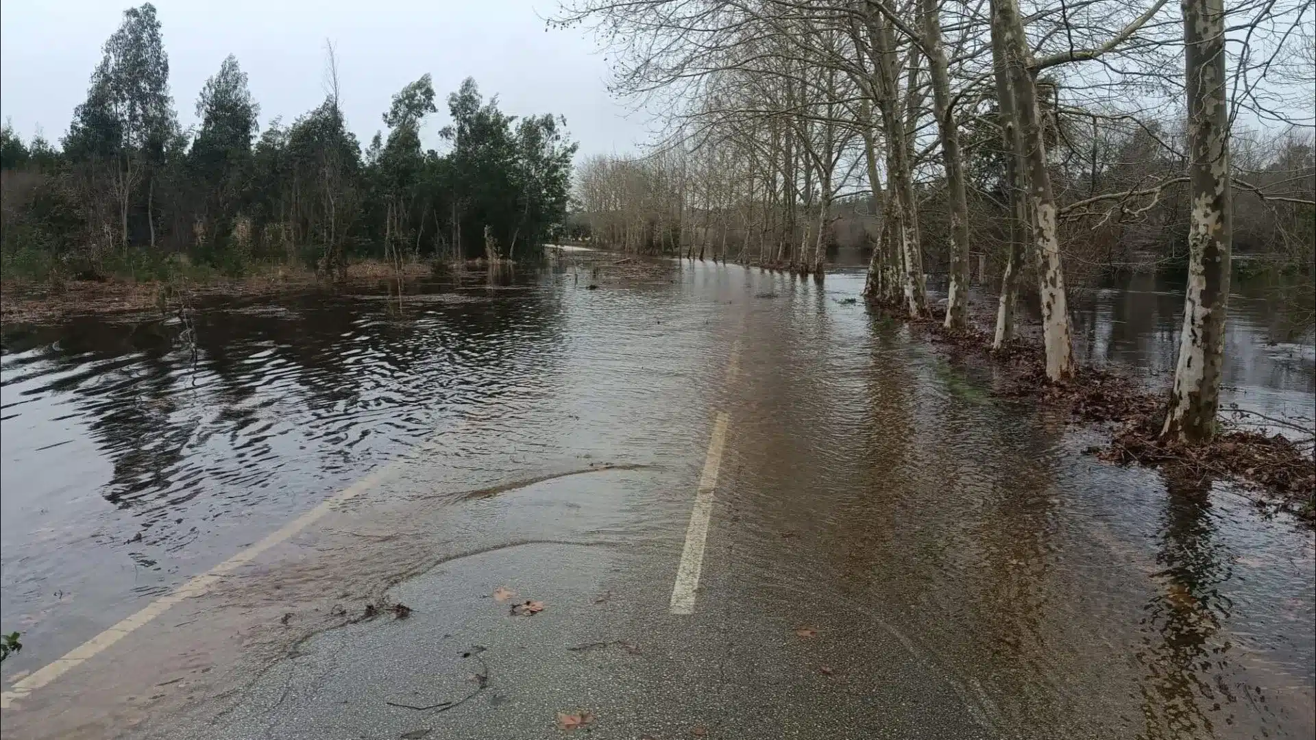 Góis défend une intervention rapide sur une route nationale coupée.