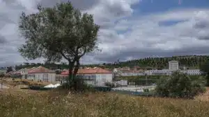 Guerre en Iran peut retarder les inhibiteurs de signal dans la Vallée des Juifs