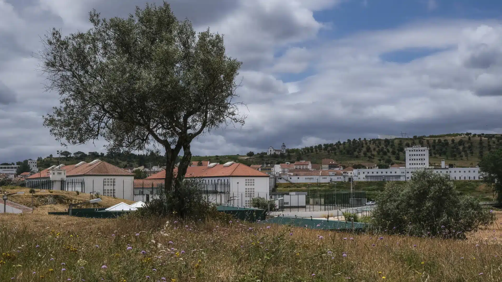 Guerre en Iran peut retarder les inhibiteurs de signal dans la Vallée des Juifs