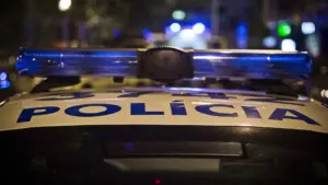 Il a volé le téléphone portable d'une femme et a été poursuivi par la police qui a entendu des "cris".