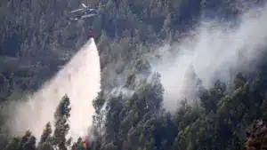 Incendie au Parc de Peneda-Gerês toujours actif mais sans "points sensibles"