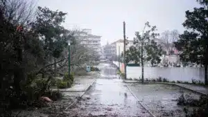 La Chambre de Leiria approuve un appel d'offres de 8 millions pour la reconstruction de l'école.
