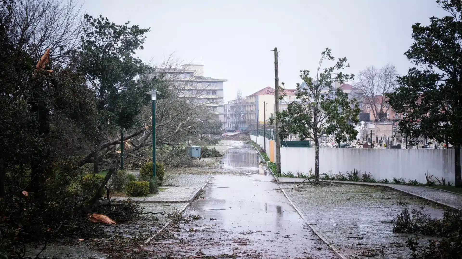 La Chambre de Leiria approuve un appel d'offres de 8 millions pour la reconstruction de l'école.
