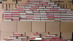La GNR saisit 1,5 million de cigarettes à la foire et arrête le conducteur du véhicule.